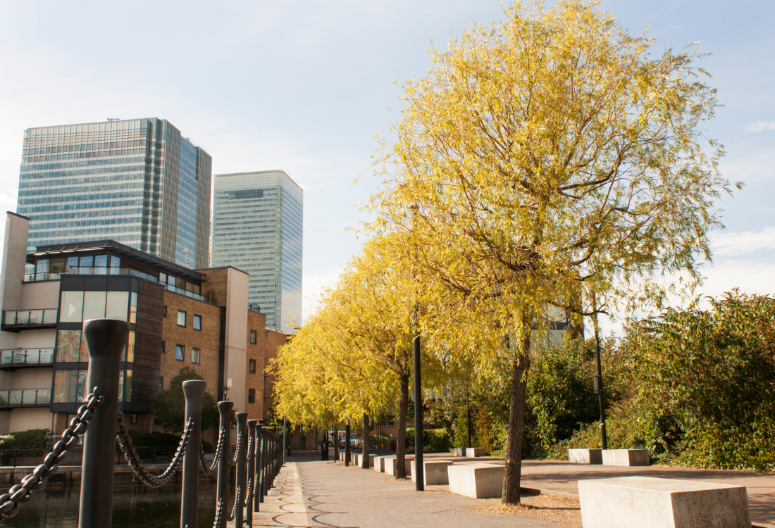 A waterfront where residential and commercial design contrast with each other. 
